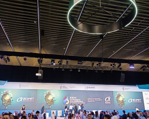 Fotografía 2 del Congreso de ACIPET